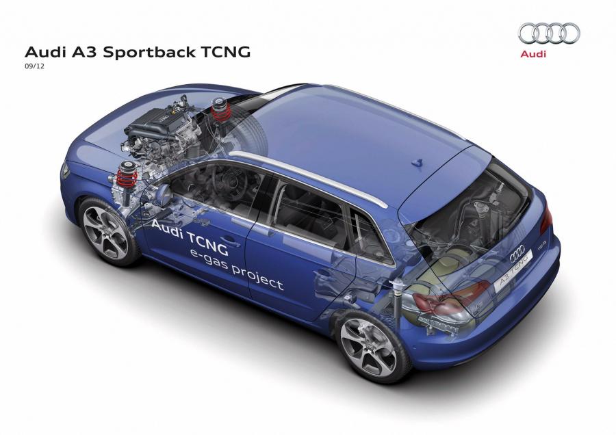 Схема Audi A3 Sportback TCNG (8V) 2012 года  (фото 13 из 13)
